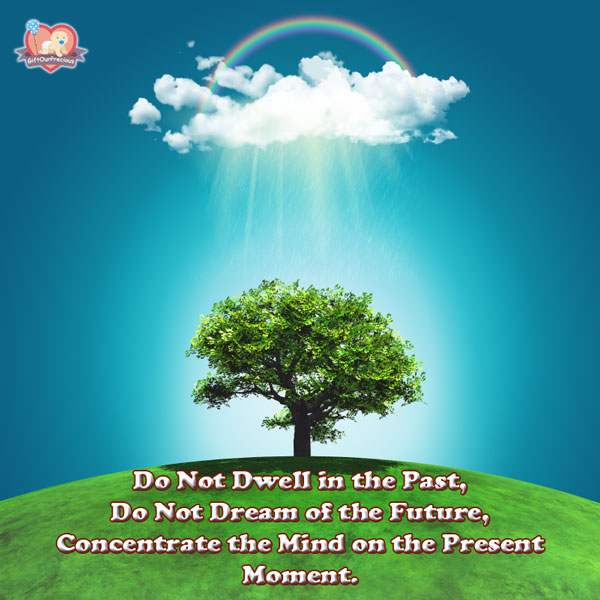 Do Not Dwell in the Past, Do Not Dream of the Future, Concentrate the Mind on the Present Moment.