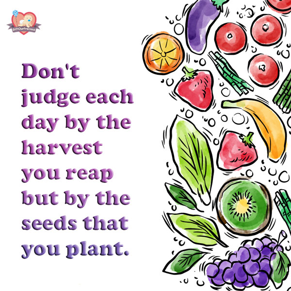 Don't judge each day by the harvest you reap but by the seeds that you plant.