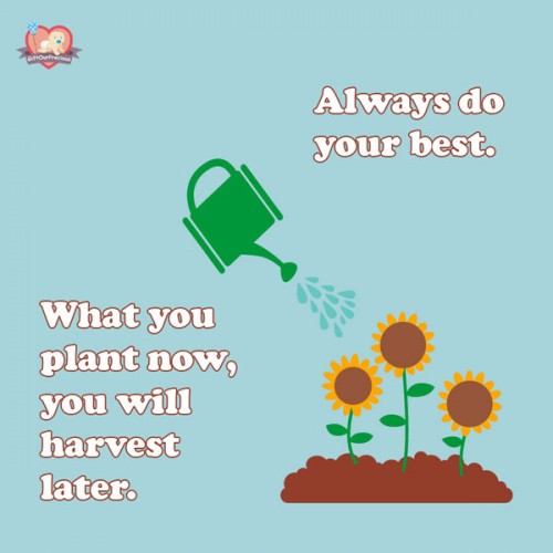 Always do your best. What you plant now, you will harvest later.