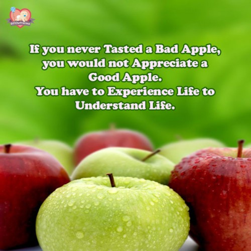 If you never Tasted a Bad Apple, you would not Appreciate a Good Apple. You have to Experience Life to Understand Life.